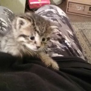 Meet your Posher, Nancy